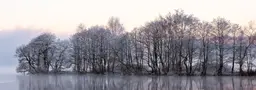 Псков и окрестности за 4 дня