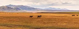 Каньоны, озера и инди-музыка — чем заняться в отпуске в Казахстане 