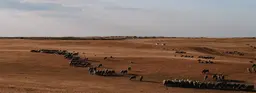 Семь чудес Калмыкии