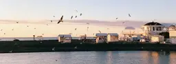 Три маршрута по Сочи, Красной Поляне и Абхазии
