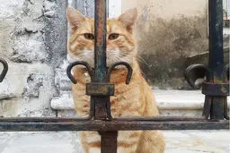 Туда, где Доброта — это город. Несезон: как по-другому узнать Черногорию