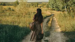 Идеи для коротких путешествий из Санкт-Петербурга: природа, музеи, спа и не только
