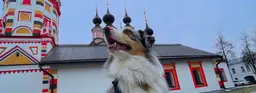 Суздаль: что посмотреть зимой в городе и окрестностях