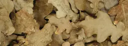 5 впечатляющих бань в России