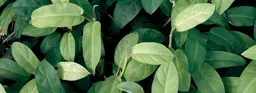 Как путешествовать экологично: zero-waste продукты и привычки