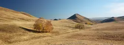 Как Оренбург западает в душу