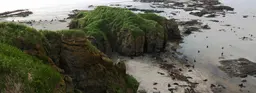 Зачем ехать на Командорские острова