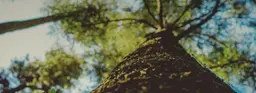 7 способов делать мир лучше