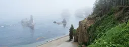 Сахалин: однодневная поездка на мыс Птичий