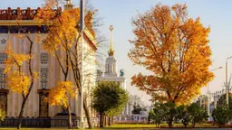 Куда сходить и что посмотреть в Москве осенью-2026