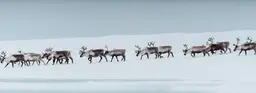 Этнокультурный туризм на Чукотке