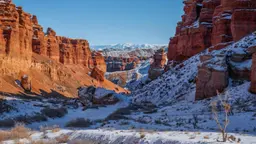 Зачем ехать в Казахстан зимой: цветные каньоны, затопленный лес и другие сказочные пейзажи вокруг Алматы