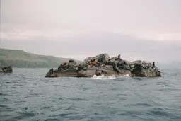 Каменный остров в море