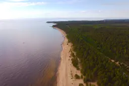 Летний пляж в Сосновом Бору, Ленинградская область
