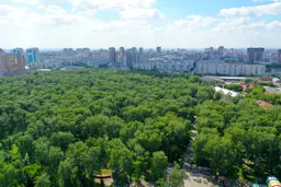 Парк Березовая роща в Новосибирске, вид сверху, аэроснимок