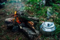 Рай в шалаше. Уютные глэмпинги России