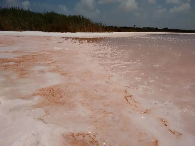 Розовое озеро - Лагуна Торревьеха